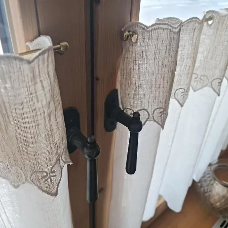Traube -